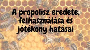 A propolisz eredete, felhasználása és jótékony hatásai