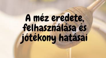 A méz eredete, felhasználása és jótékony hatásai