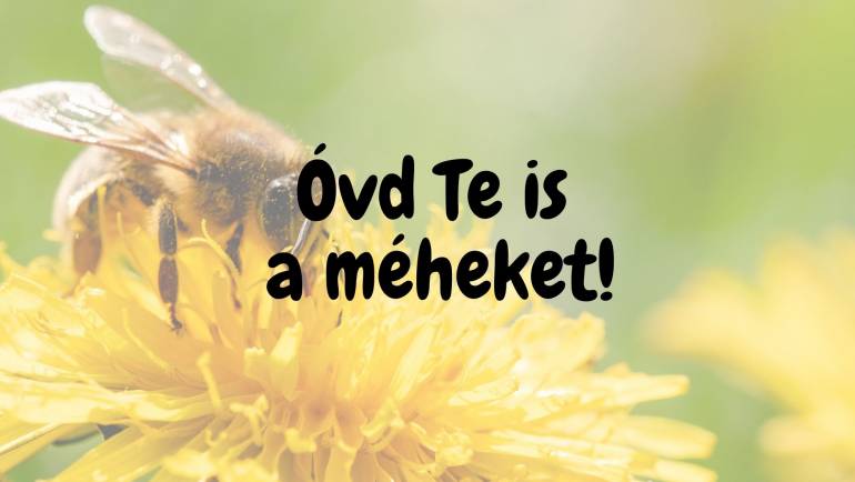 Óvd Te is a méheket!