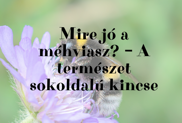 Mire jó a méhviasz? – A természet sokoldalú kincse