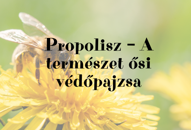Propolisz – A természet ősi védőpajzsa